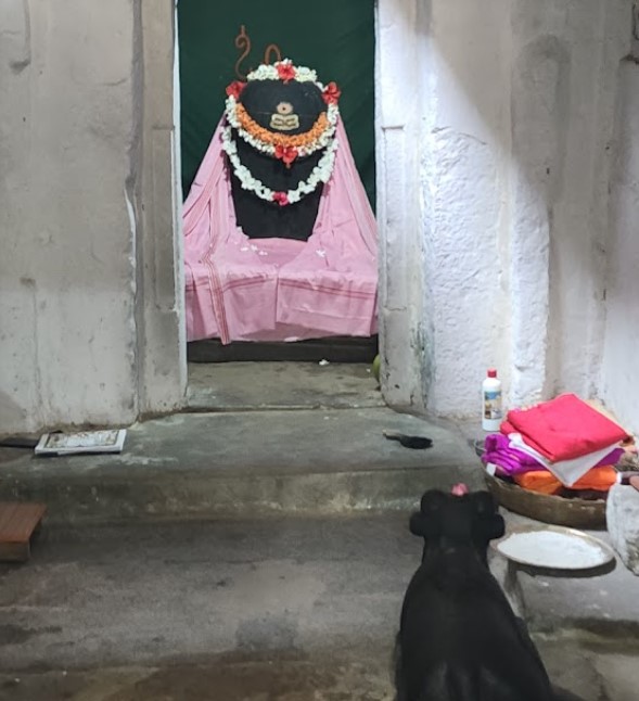 Talakadu Shri Maraleshwara Swamy Temple Mysore