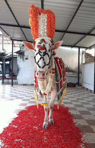 Sri Mante Swamy Matta Honnayakanahalli