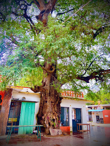 Sri Chikkalluru Siddappaji Temple Hosa Matta