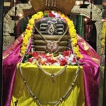 Ancient Shri Prasanna Meenakshi & Someshwara Temple