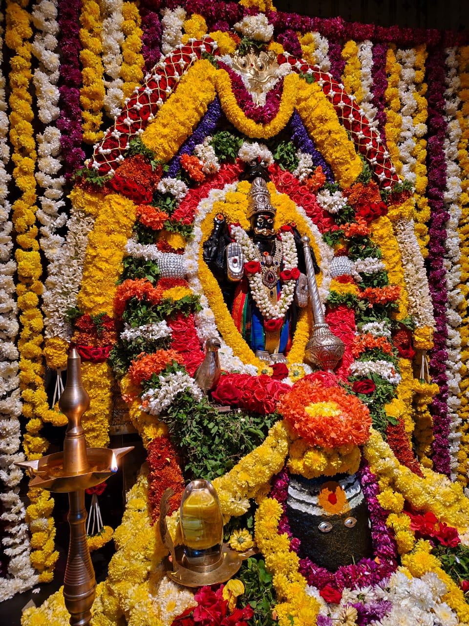 WhatsApp Image 2026-01-10 at 7.10.05 PM (1)