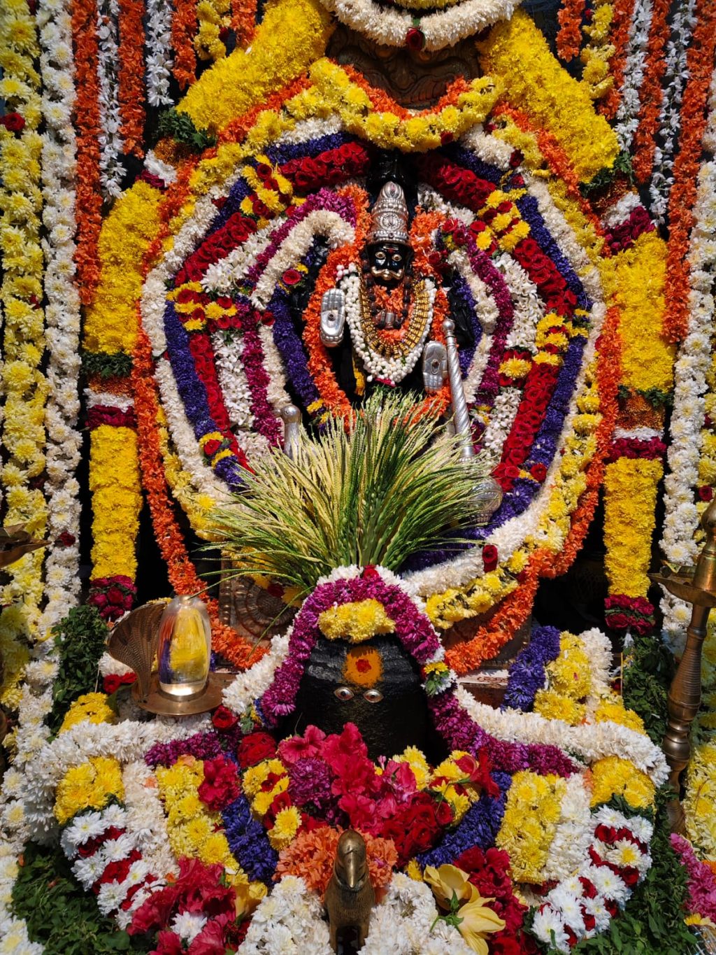 WhatsApp Image 2026-01-10 at 7.10.08 PM (2)