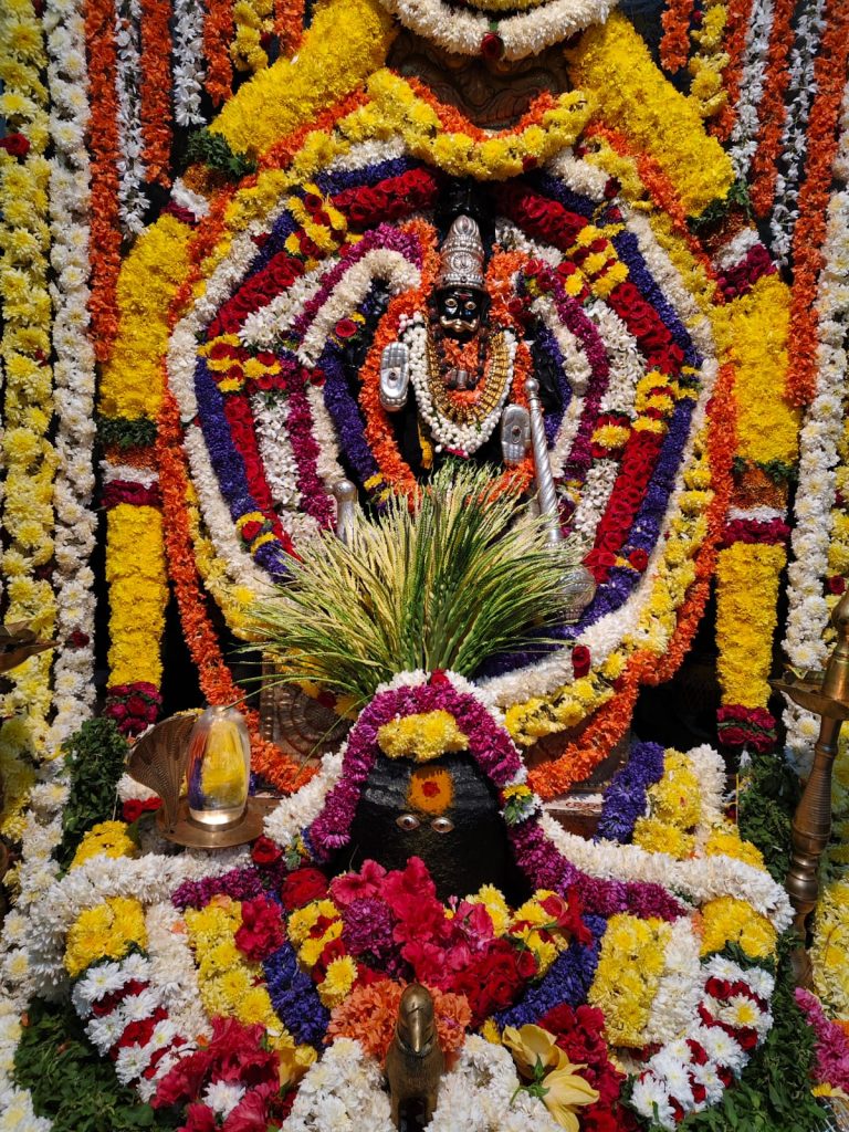 WhatsApp Image 2026-01-10 at 7.10.08 PM (2)