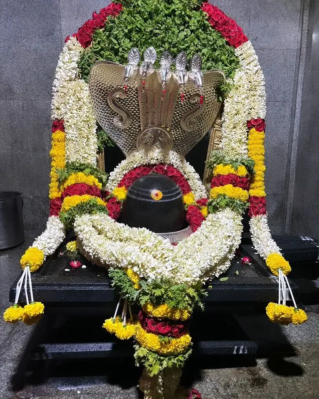 Shri Nageshwara Swamy Devasthana Navile